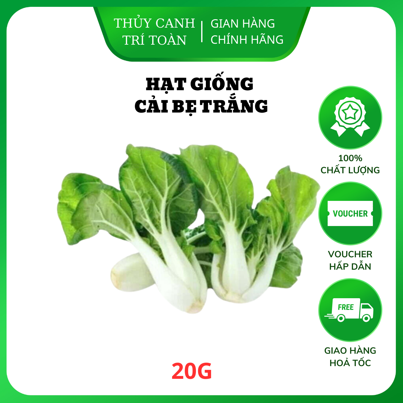 Hạt giống Cải Bẹ Trắng nảy mầm tốt, trồng quanh năm - Hạt giống Rạng Đông