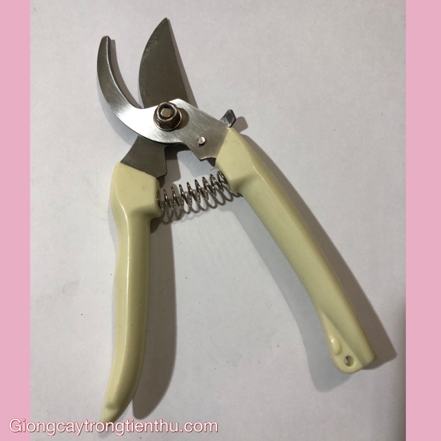 Kéo cắt tỉa cành cây