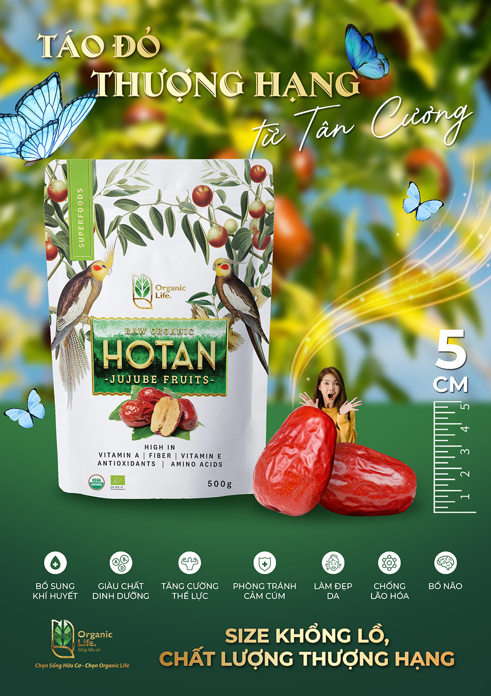 Táo đỏ tân cương hòa điền hữu cơ organic life 500g - đặc sản nổi tiếng tân cương/ combo táo đỏ & kỷ tử