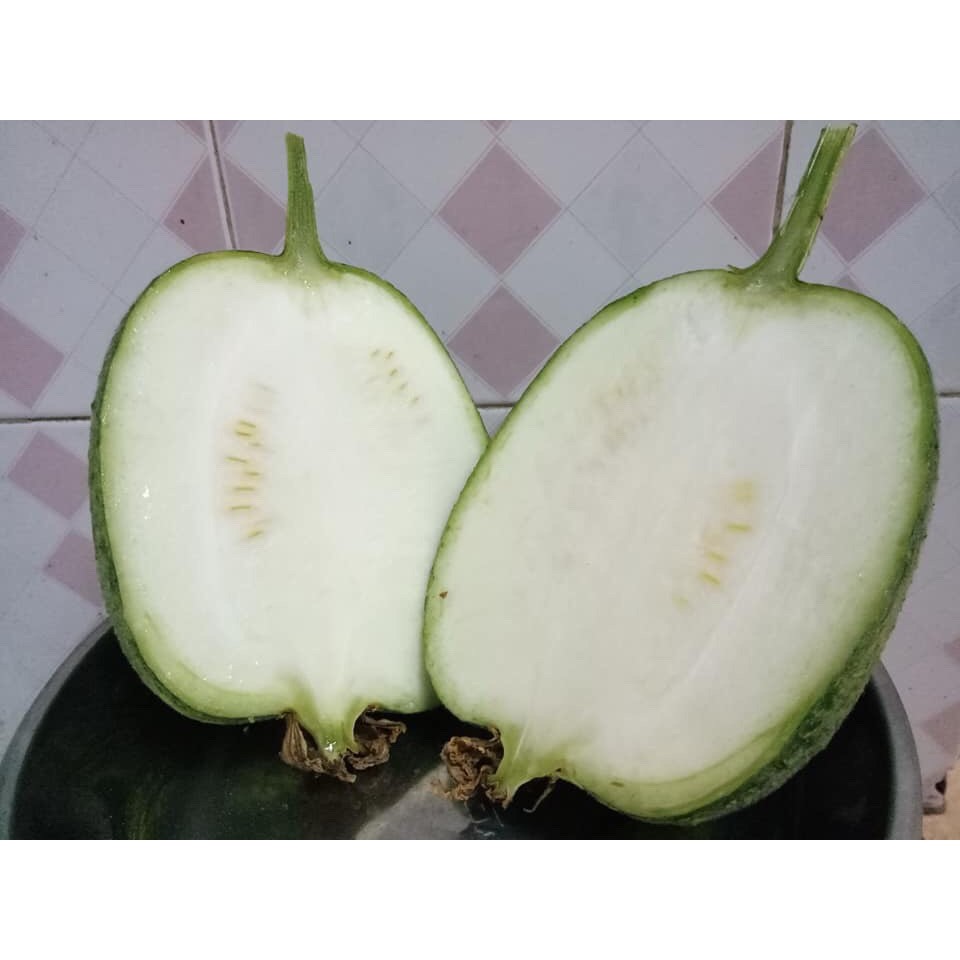 Hạt giống mướp táo Đài Loan 5 hạt
