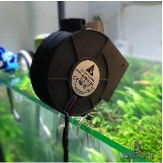 Quạt sò 12V siêu mạnh, Quạt tản nhiệt cực tốt cho bể thủy sinh