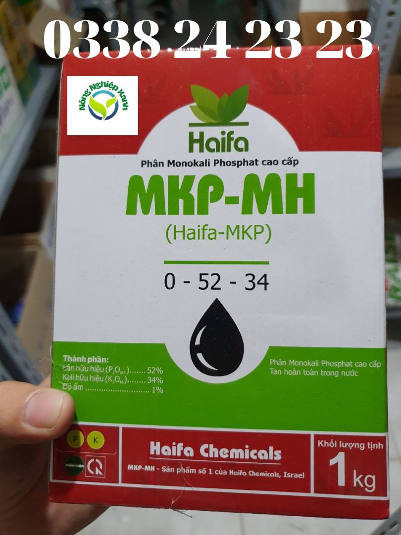 [FREESHIP+ QUÀ] Phân bón lá MKP 0-52-34 của Haifa giúp ra hoa đồng loạt, hỗ trợ kích ra hoa sớm- Nông Nghiệp Xanh- Tặng móc khóa xinh xắn+ khẩu trang 3D+ bao tay