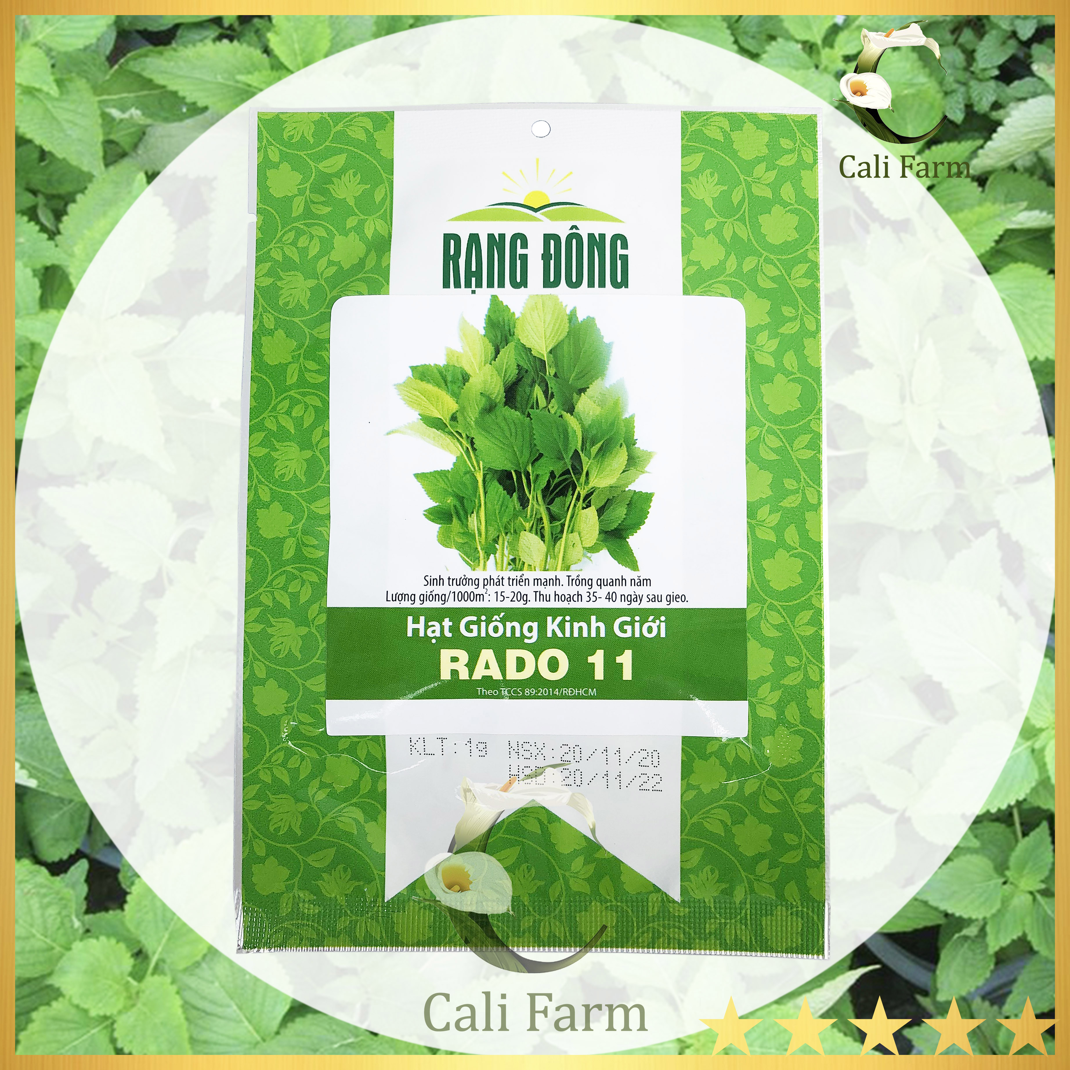 Hạt Giống Rau Kinh Giới Rado 11 (1gr) Năng Suất Cao