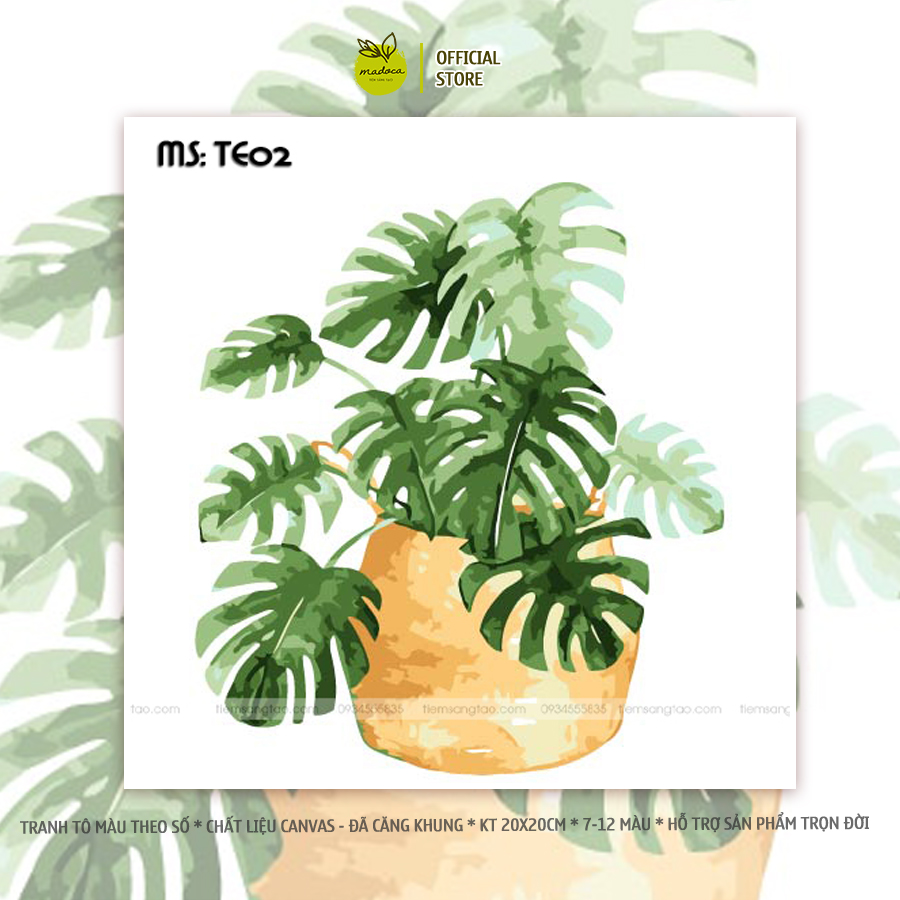 Tranh tô màu theo số, tranh số hóa, tranh tô màu số hóa Madoca kích thước 20x20cm có khung, Chậu cây nhỏ TE02