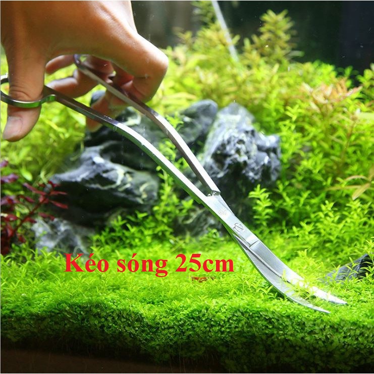 Kéo sóng cắt tỉa cây thủy sinh 25cm