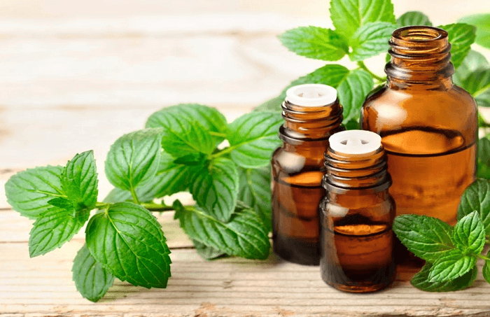 Tinh dầu bạc hà nguyên chất 100ml, xông phòng, khử khuẩn, khử mùi