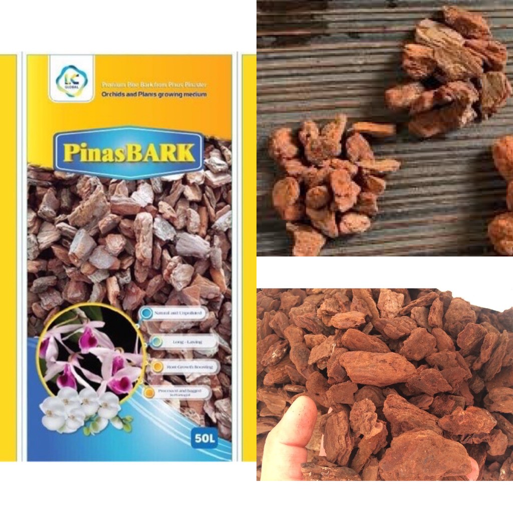 Vỏ thông nhập khẩu cao cấp Bồ Đào Nha – Hàng VIP loại 1 - Đã xử lý công nghệ vi sinh- Sạch khuẩn và nấm bệnh (1kg)