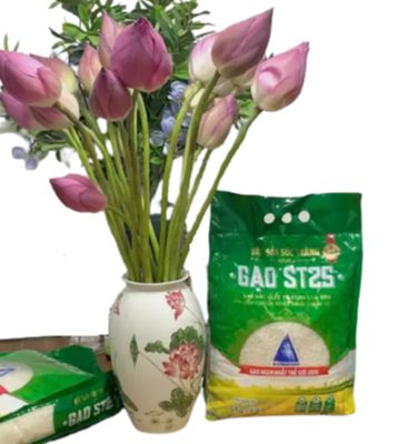 {Chính hãng} [Túi 10kg] Gạo đặc Sản Sóc Trăng ST25 do VINASEED sản xuất - Gạo ngon nhất Thế Giới 2019