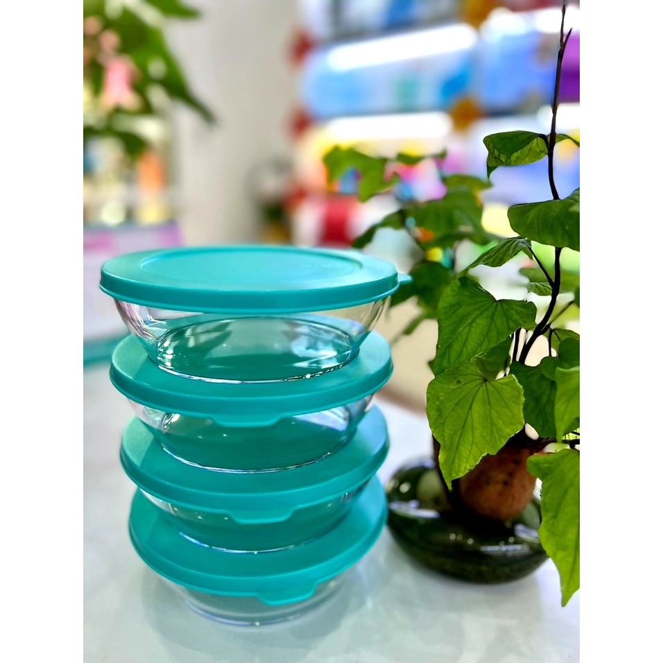 Bộ Hộp Bảo Quản Thực Phẩm Clear Bowl 750ml Tupperware
