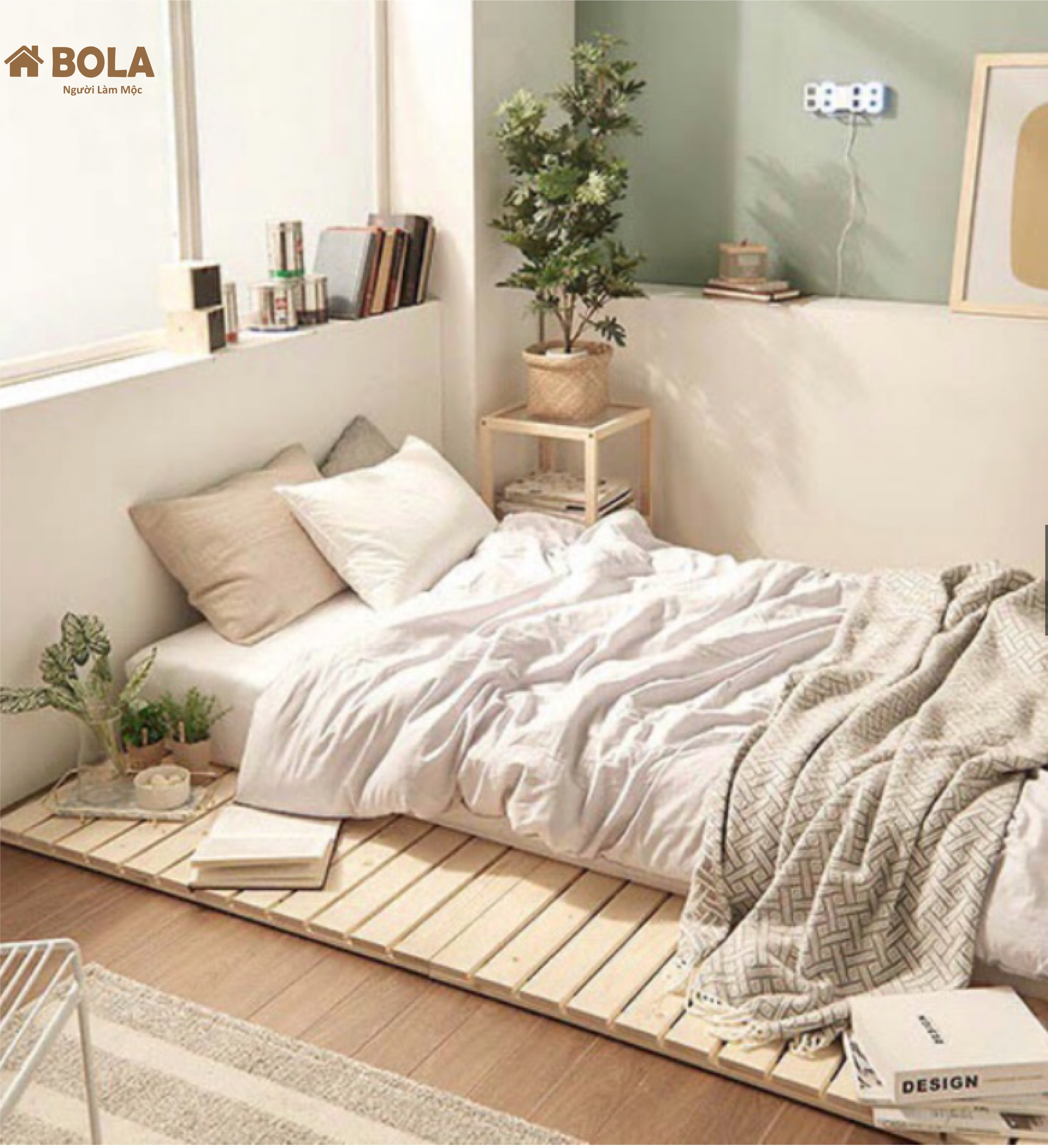 Giường Ngủ Pallet Gỗ Thông Gấp Gọn Bola