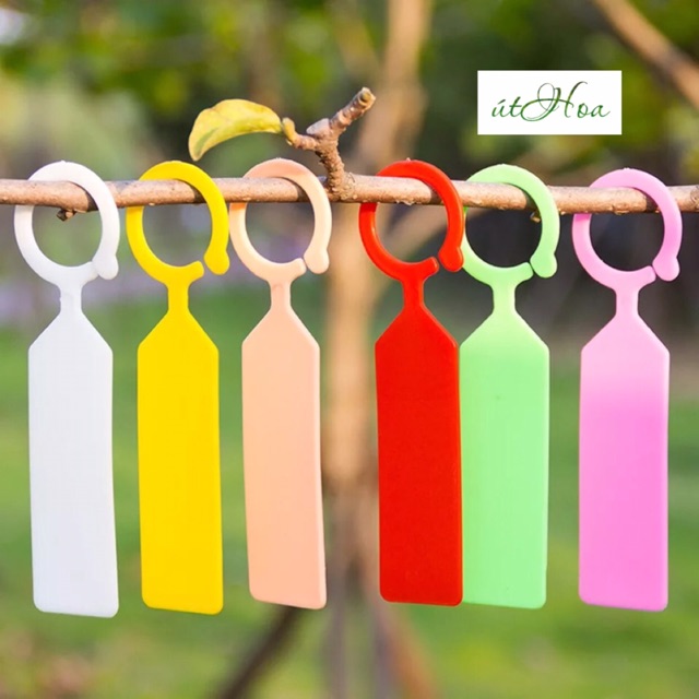 Set 10 Thẻ Ghi Tên Lan, Tên Cây (Được Chọn Màu)