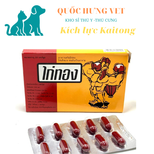 Kaitong Kích lực trước đá cho gà chọi gà đá- Quốc Hưng Vet