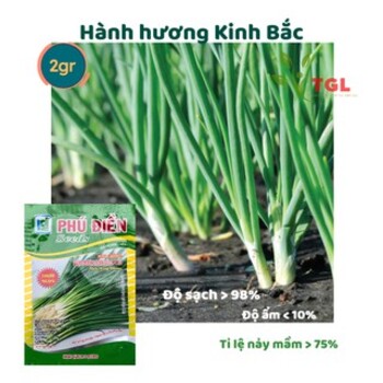 Hạt giống hành hương kinh bắc pd 119 phú điền, hạt giống rau củ quả chất lượng - gói 2gr