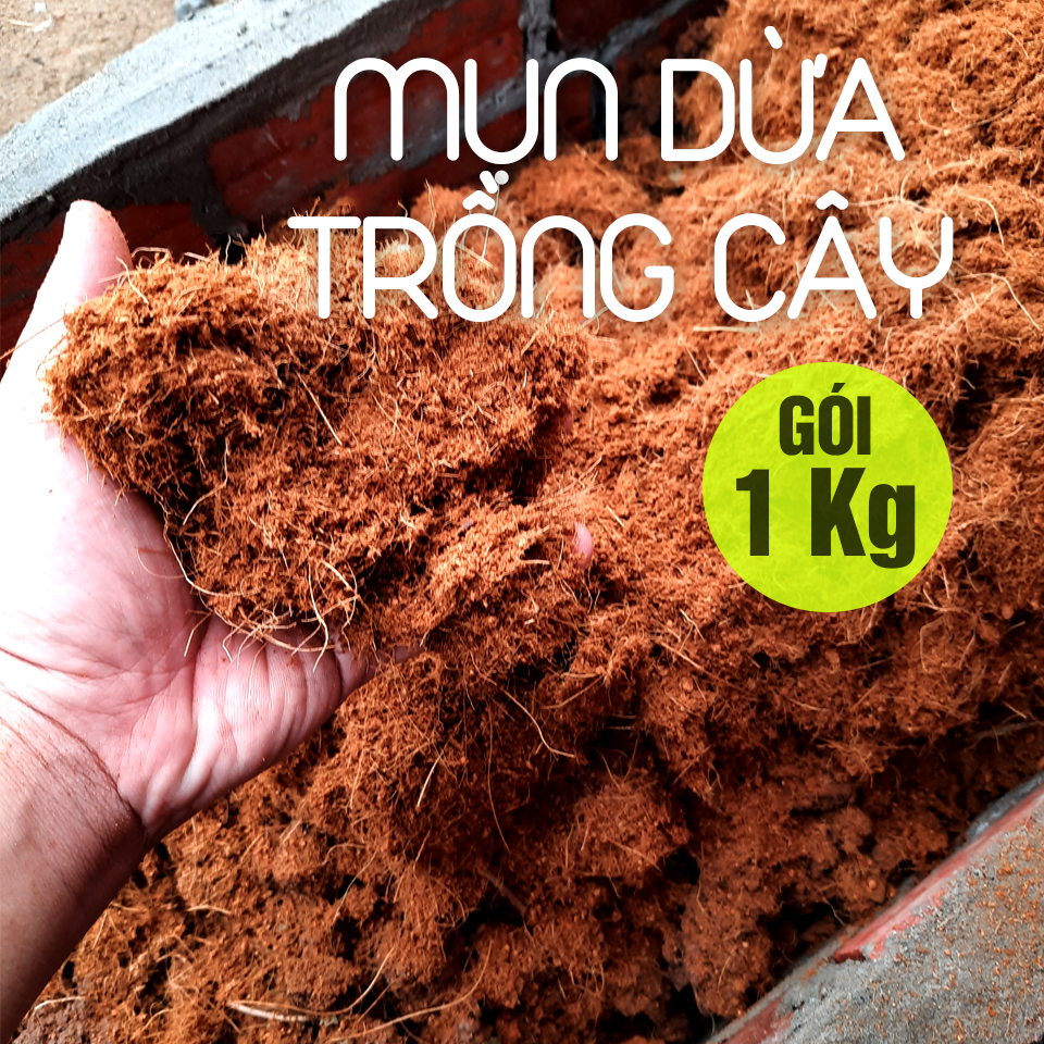 1Kg Mụn dừa đất nền giá thể trồng cây