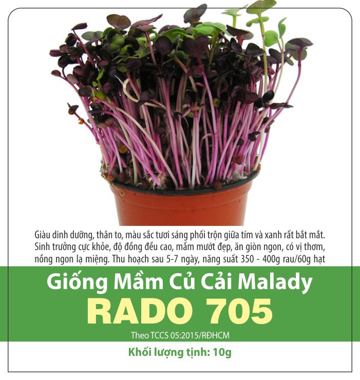 Hạt giống mầm củ cải malady
