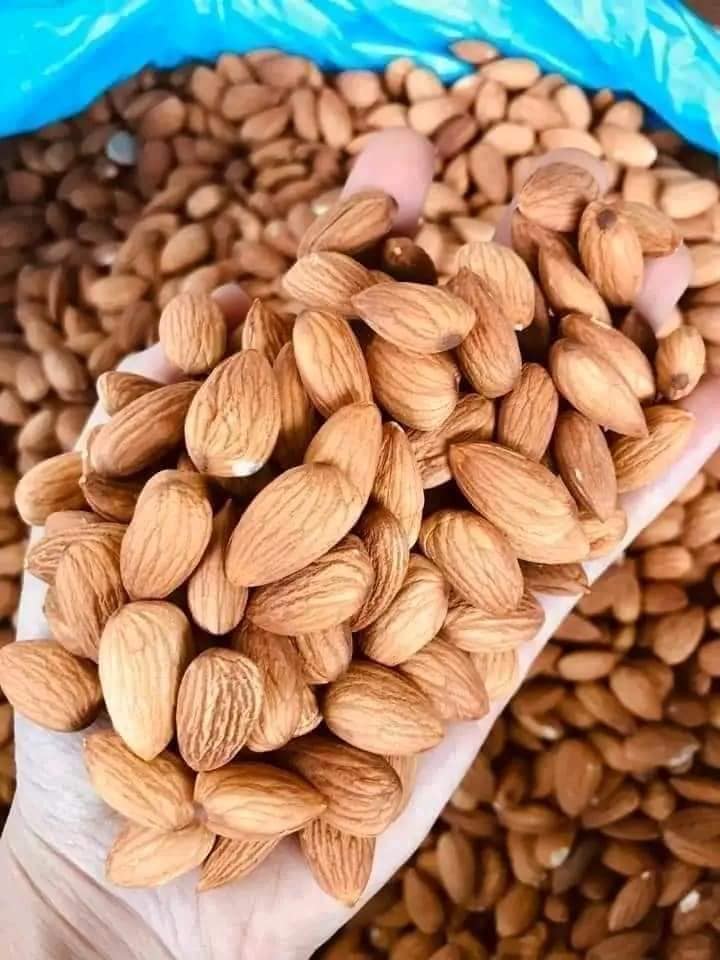 450 Grams of Almonds Imported from the Us - No Oil Smell Giá 129,000 Đồng*Miễn phí vận chuyển