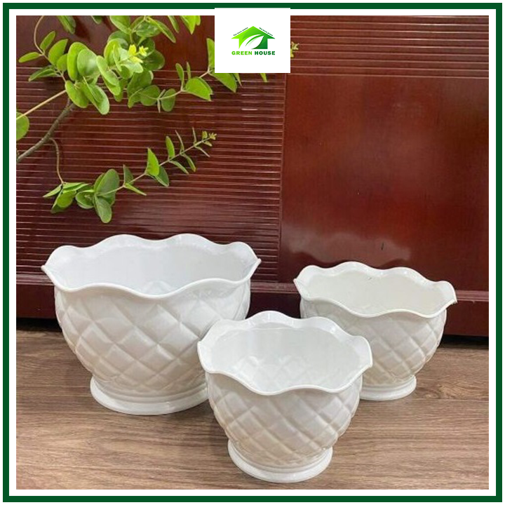 Combo 5 Chậu Nhựa trái dứa hoặc trái bí 21-22cm