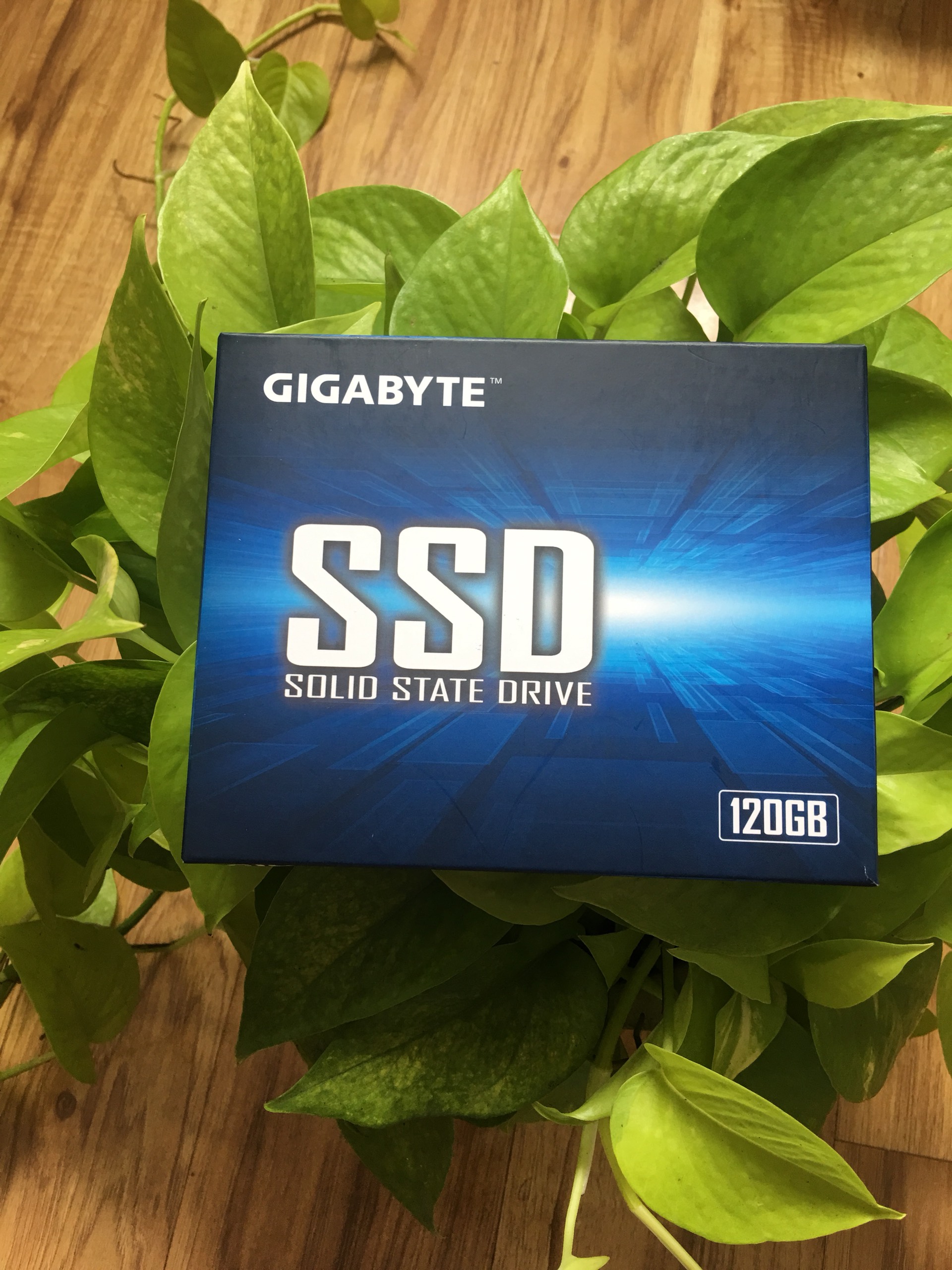 Ổ cứng ssd 120gb gigabyte sata iii