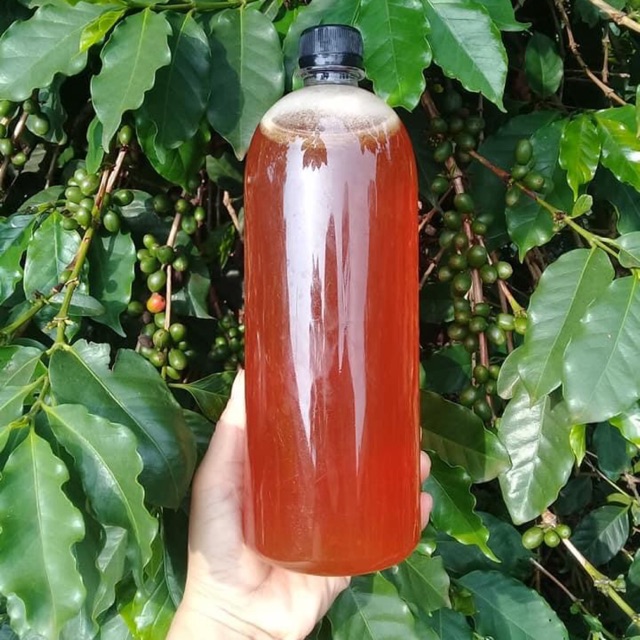 Mật ong nguyên chất Đăk Lăk 1lit