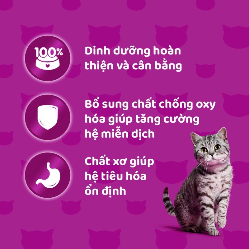 Hạt cho mèo Whiskas đủ vị , hạt dinh dưỡng cho mèo con và mèo lớn túi 1.2kg