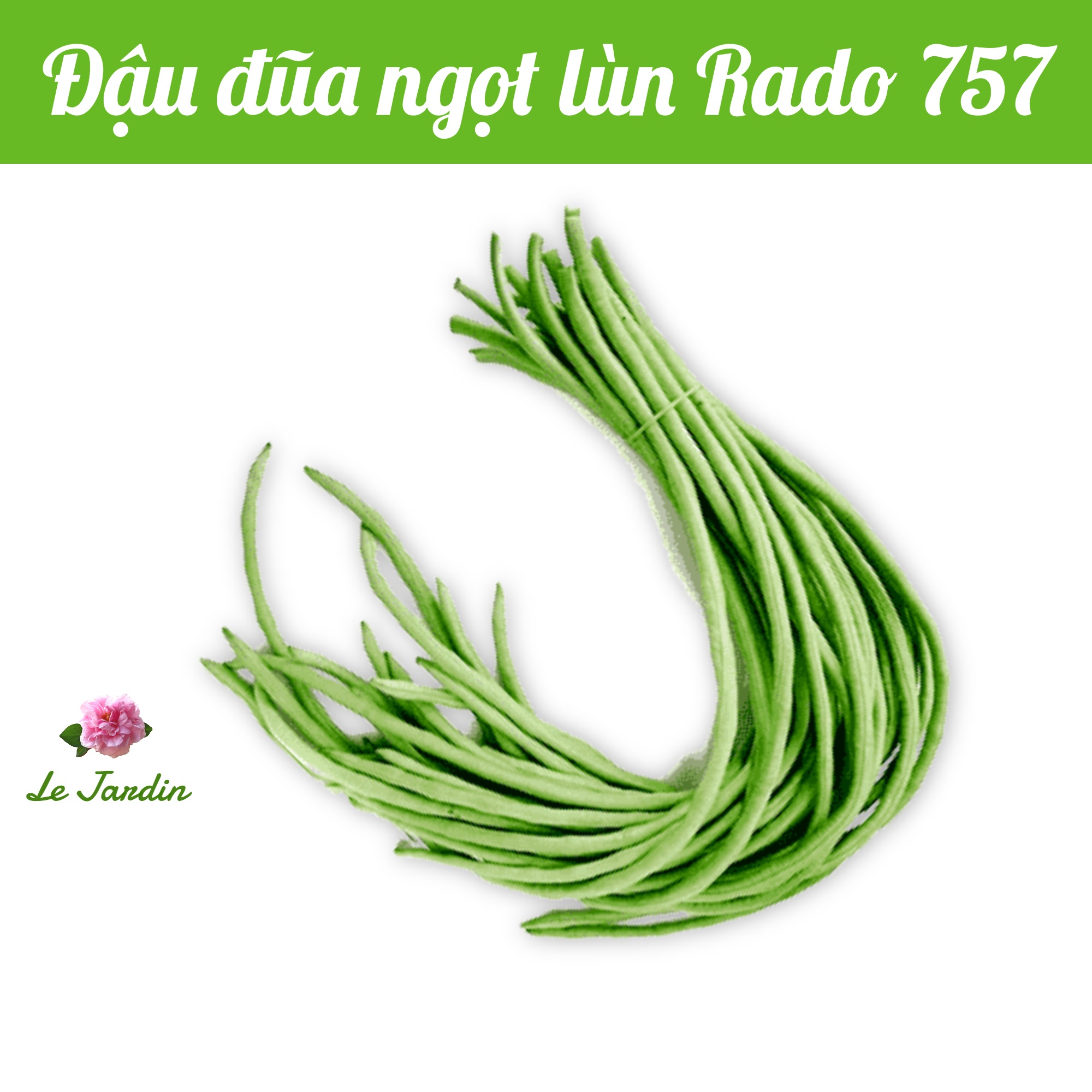 Hạt giống đậu đũa bụi lùn rado 757 gói 20gr