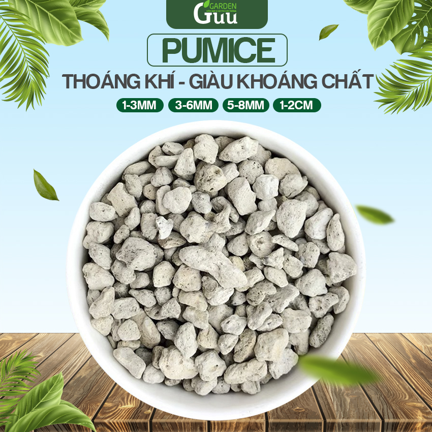Đá Pumice Đá bọt núi lửa trộn đất trồng sen đá Guu Garden Đá lót chậu trồng lan nhiều size 3-6mm 5-8mm 1-2cm đá bọt núi lửa indonesia lọc nước bể cá kiểng