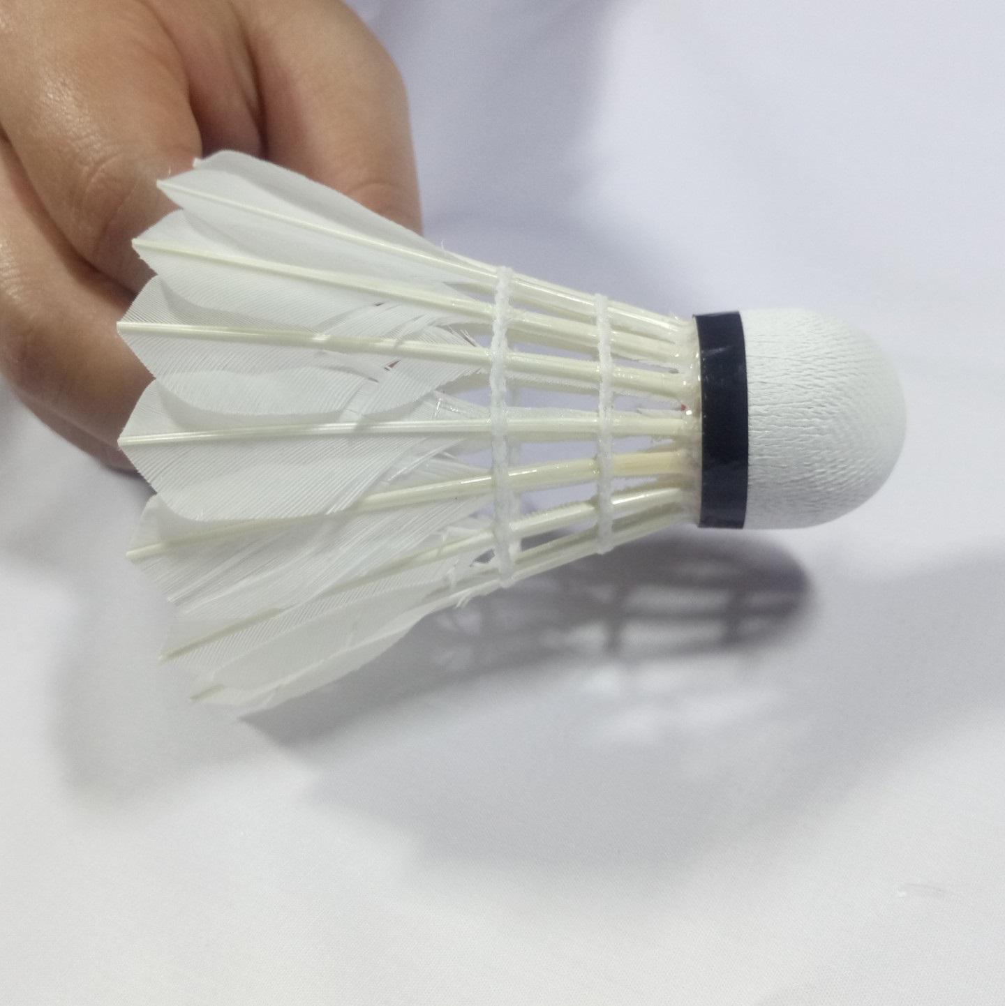 Ống cầu lông đựng 12 trái cầu lông mỗi ống, Thương Hiệu : Hiệp Thành - Chất Liệu : Đế da, Lông vịt Hàng Việt Nam Chất Lượng Cao - LIclac Shop