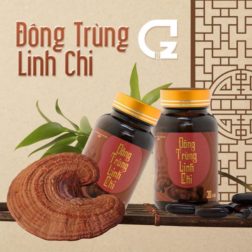 Đông trung linh chi