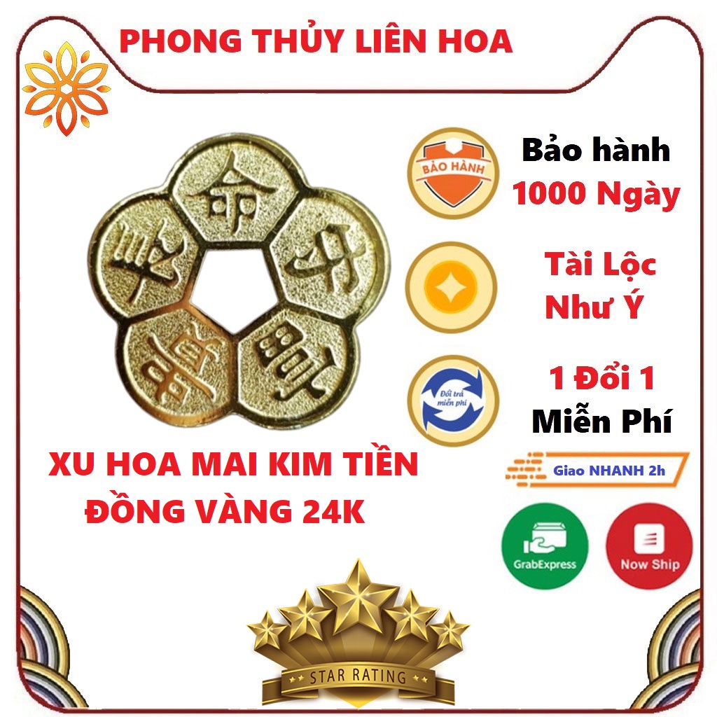 Đồng Xu Hoa Mai Kim Tiền