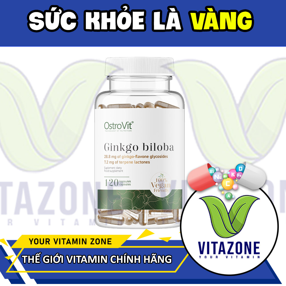 Viên Uống Bổ Não Hoạt Huyết Ostrovit Ginkgo Biloba Vege 120 Viên