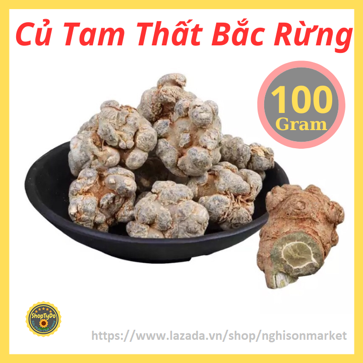 Củ Tam Thất Bắc Rừng thượng hạng khô 100 gram