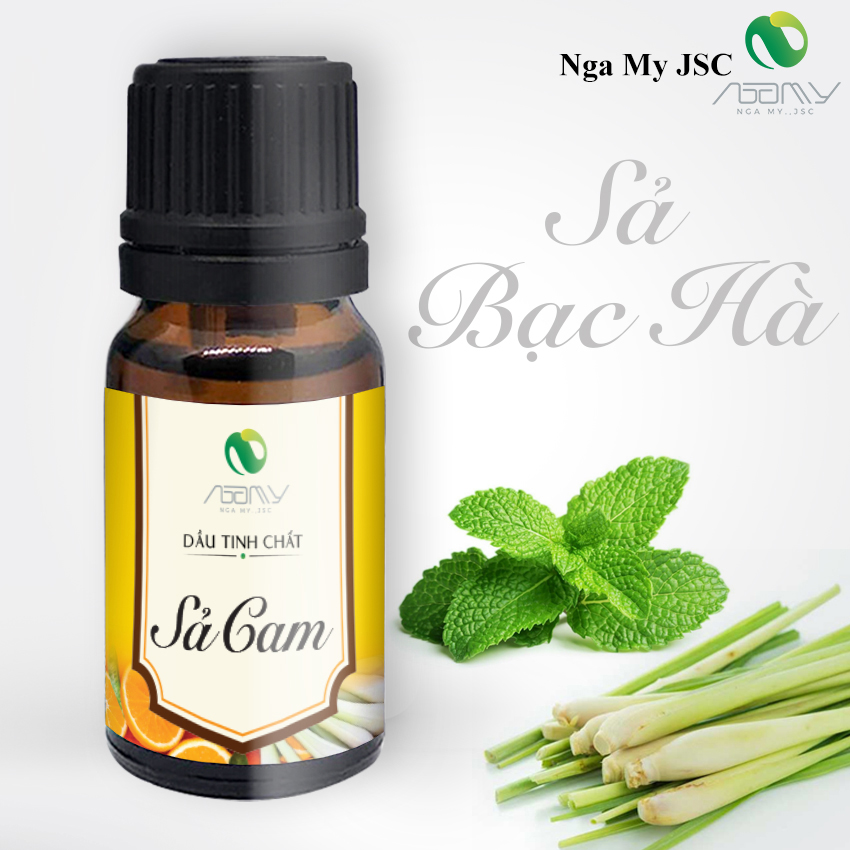 Tinh dầu xông phòng sả bạc hà nga my thiên nhiên nguyên chất thơm phòng giảm căng thẳng khử mùi hôi
