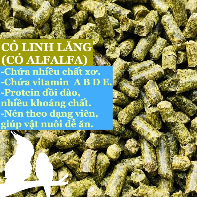 Túi 100 gr viên cỏ nén cho sóc , thỏ , bọ ú ...