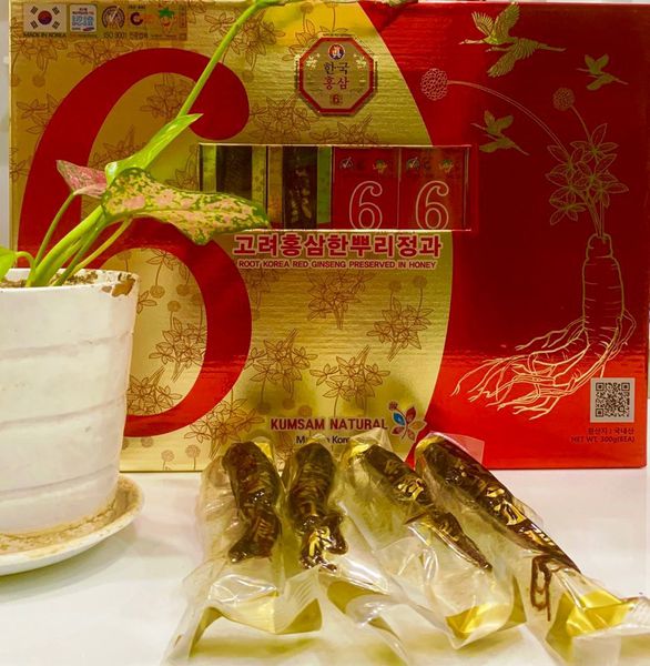 Sâm Củ Tẩm Mật Ong Kumsam Natural Red Ginseng Preserved In Honey 300g / Củ