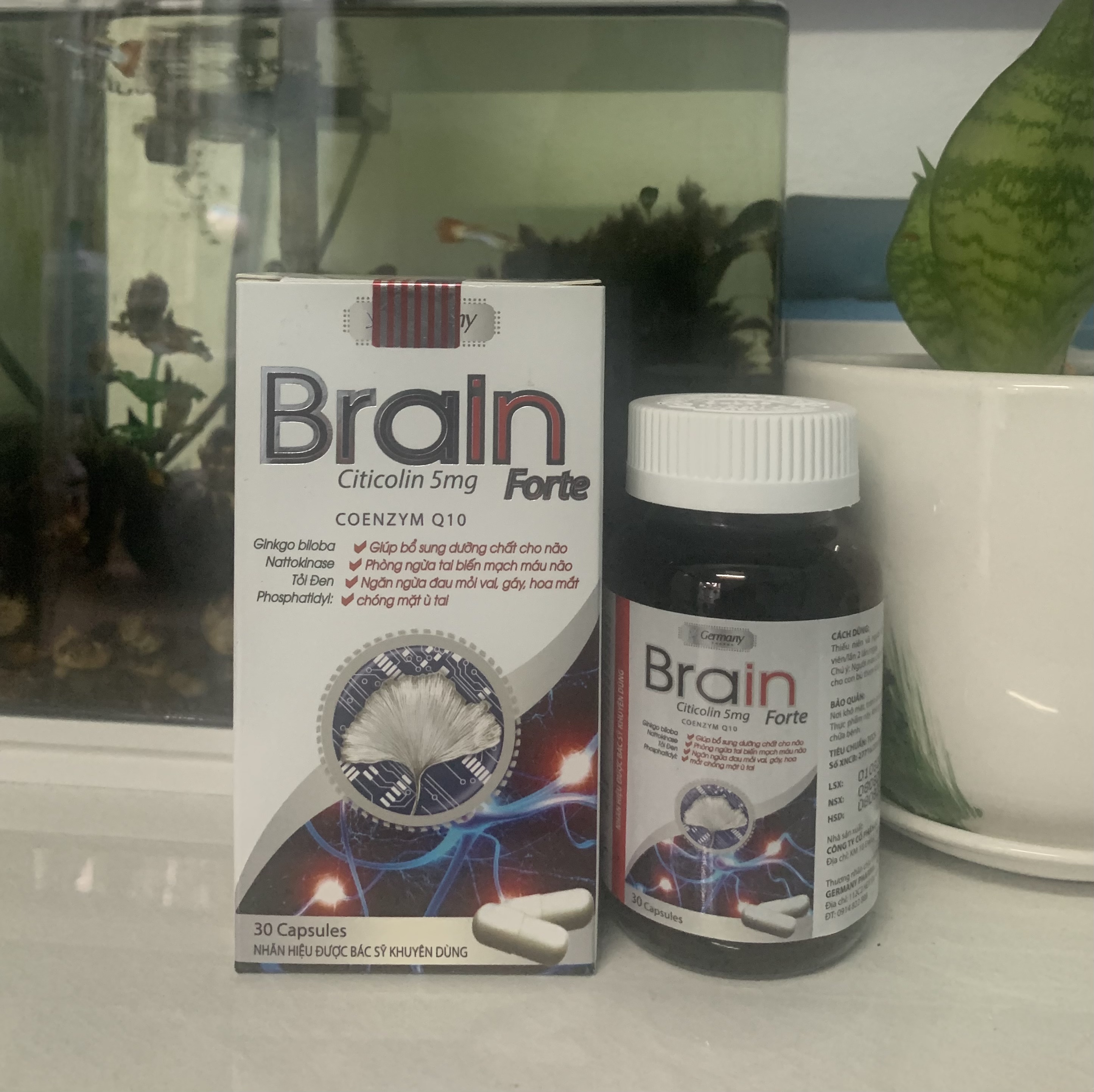 Brain Fort Giúp bổ sung dưỡng chất cho não, phòng ngừa tai biến, chóng mặt ù tai Lọ 30 viên