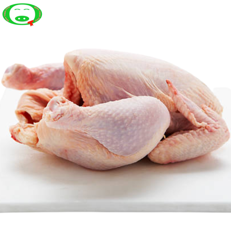 Con gà dai hàn quốc nguyên con