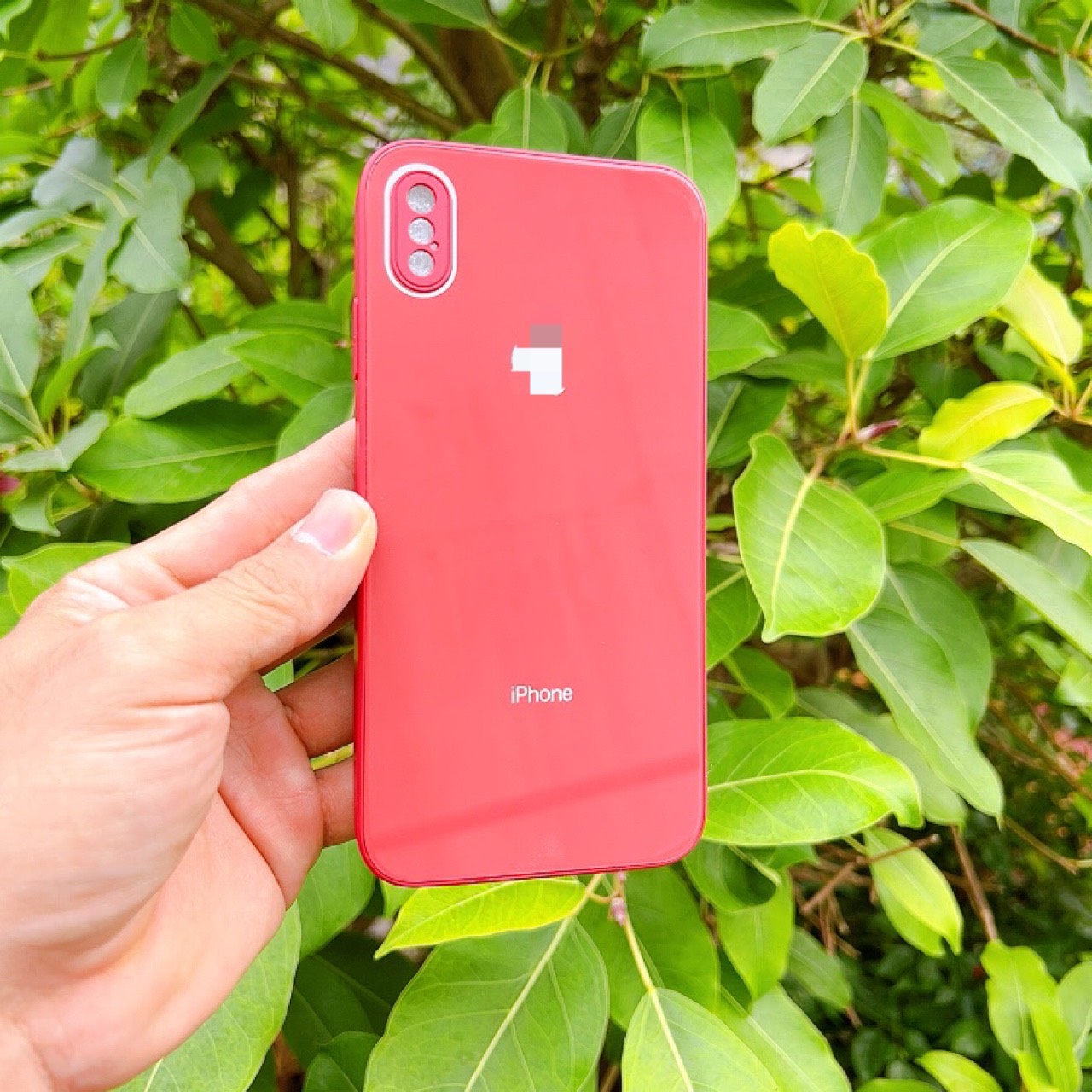 Ốp lưng kính cường viền màu trái táo 6/6s/7/8/7 plus/8 plus/Se 2020/11