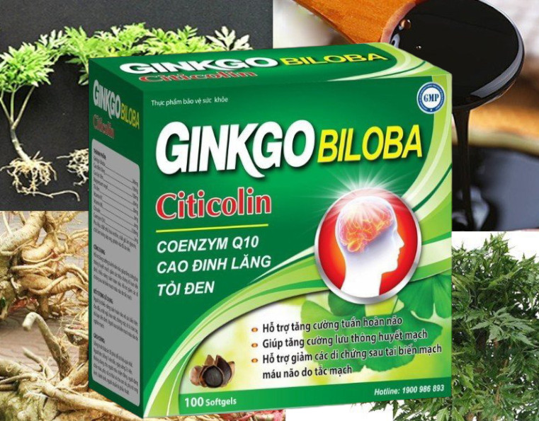 Ginkgo Biloba - Bổ não