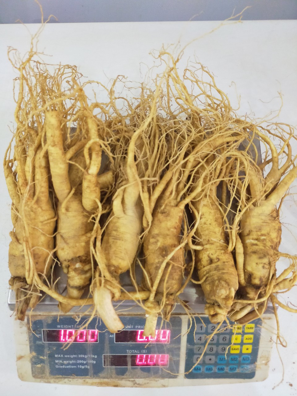 Sâm Tươi Hàn Quốc 6 Năm Tuổi 6 Củ- 1kg, Nhân Sâm Hàn Quốc, có tác dụng chống mệt mỏi, tăng cường bồi bổ sức khỏe, minh mẫn, sảng khoái, sâm hàn quốc, nhân sâm tươi hàn quốc, sâm tươi hầm gà, Sâm Yến Phú Khánh