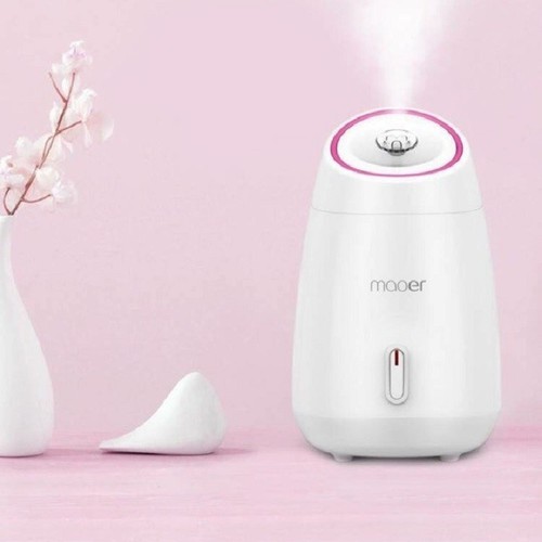 Máy xông mặt hoa quả