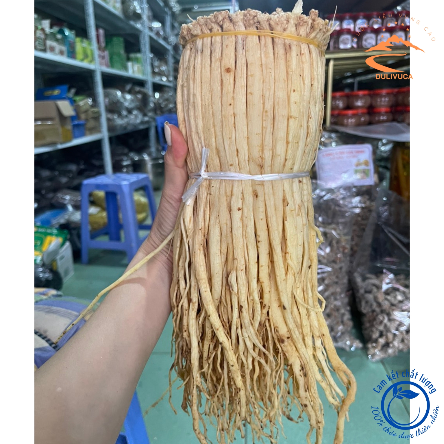 Đẳng sâm sấy dẻo, loại thượng hạng sấy khô từ củ đẳng sâm tươi loại 1 giúp tăng cường miễn dịch