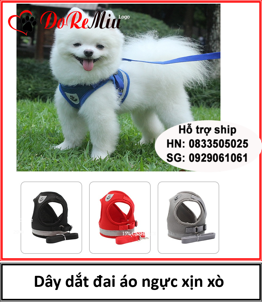 Doremiu - Bộ Dây dắt chó mèo kèm áo - dây dắt đai áo ngực xịn xò cho thú cưng