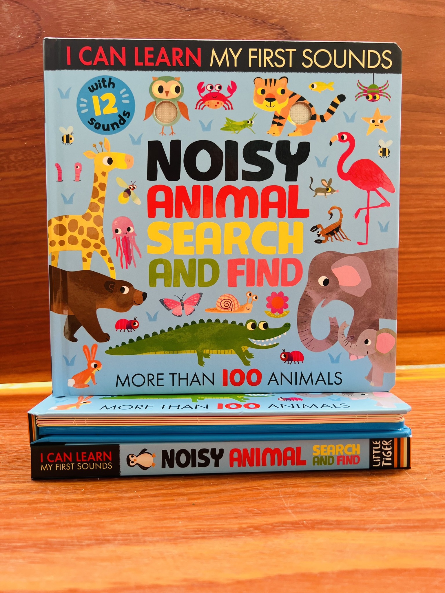 Noisy Animal Search and Find