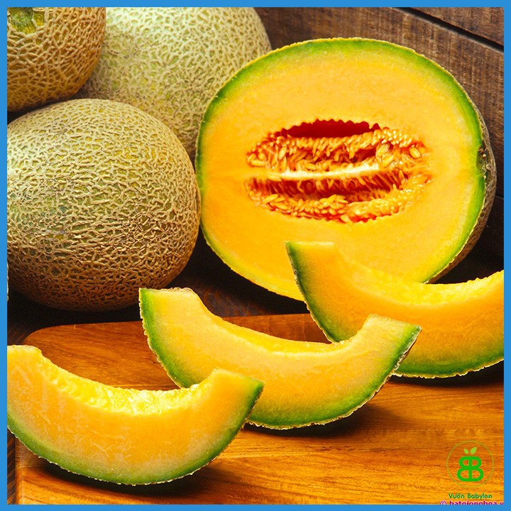 Hạt giống dưa lưới phú nông