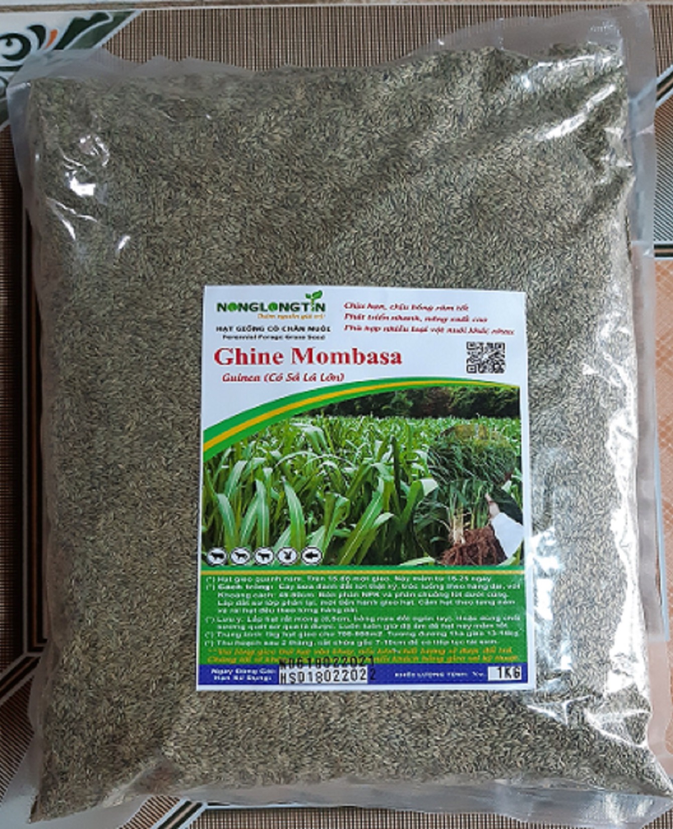 hạt giống cỏ ghine mombasa (cỏ xả lá lớn)