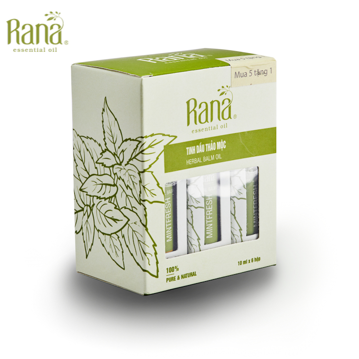 [5 tặng 1] Dầu Lăn Thảo Dược BẠC HÀ Menthol RANA 10ml - Dầu Gió Lăn Các Loại Thảo Mộc và Nhân Sâm Dạng Bi Lăn