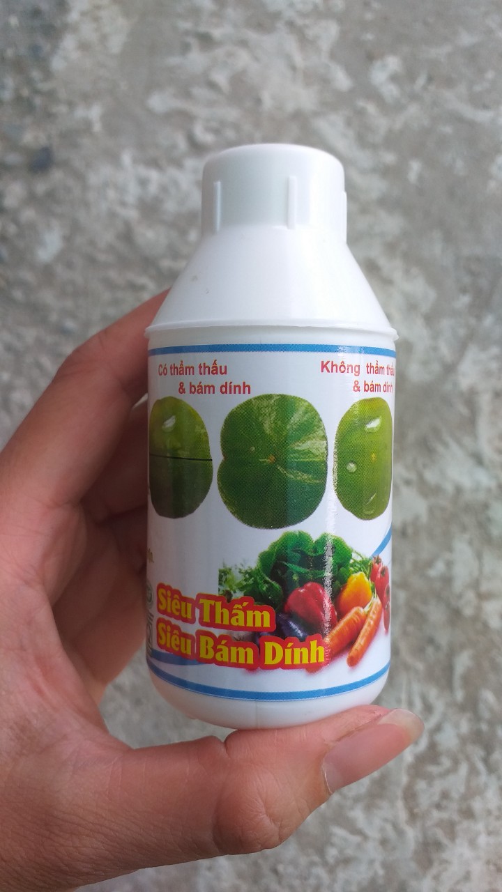 che-pham-thuoc-bam-dinh-luu-dan-sieu-tham-sieu-bam-dinh-lo-100ml