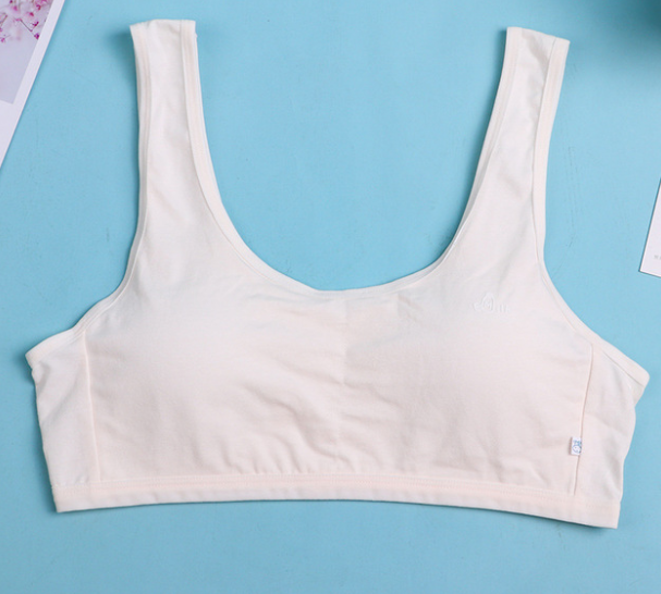 Bra / áo lá học sinh cotton tinh khiết xuất đông hàng loại đẹp.