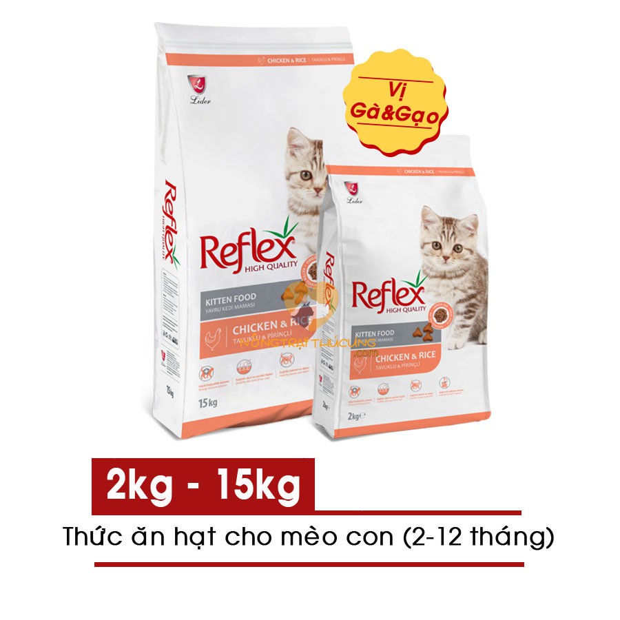 "hoàn tiền đến 10%" hạt mèo reflex chicken kitten