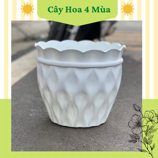 COMBO 5 Chậu nhựa trồng cây kiểu lưới đủ size cực kỳ dày dặn